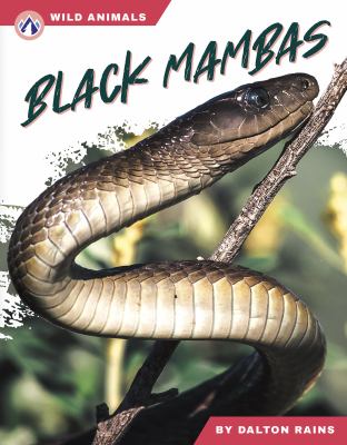 The Black Mambas